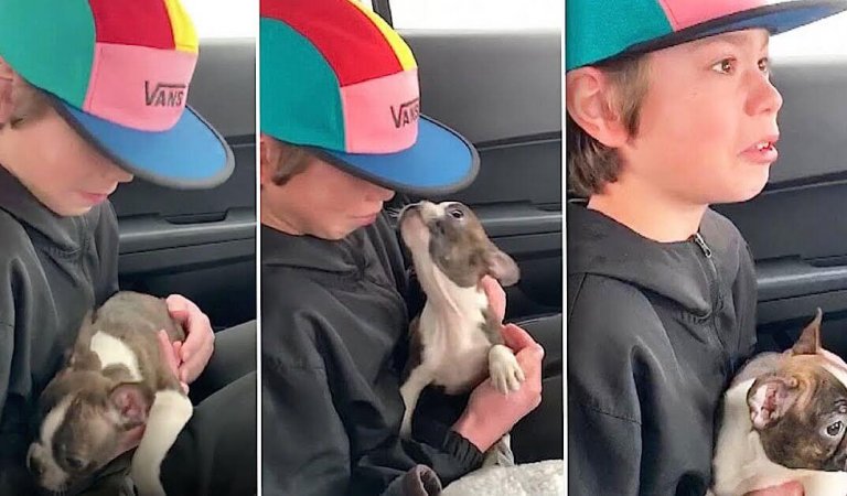 13-year-old boy cries in surprise after being gifted a dog from his father that passed away